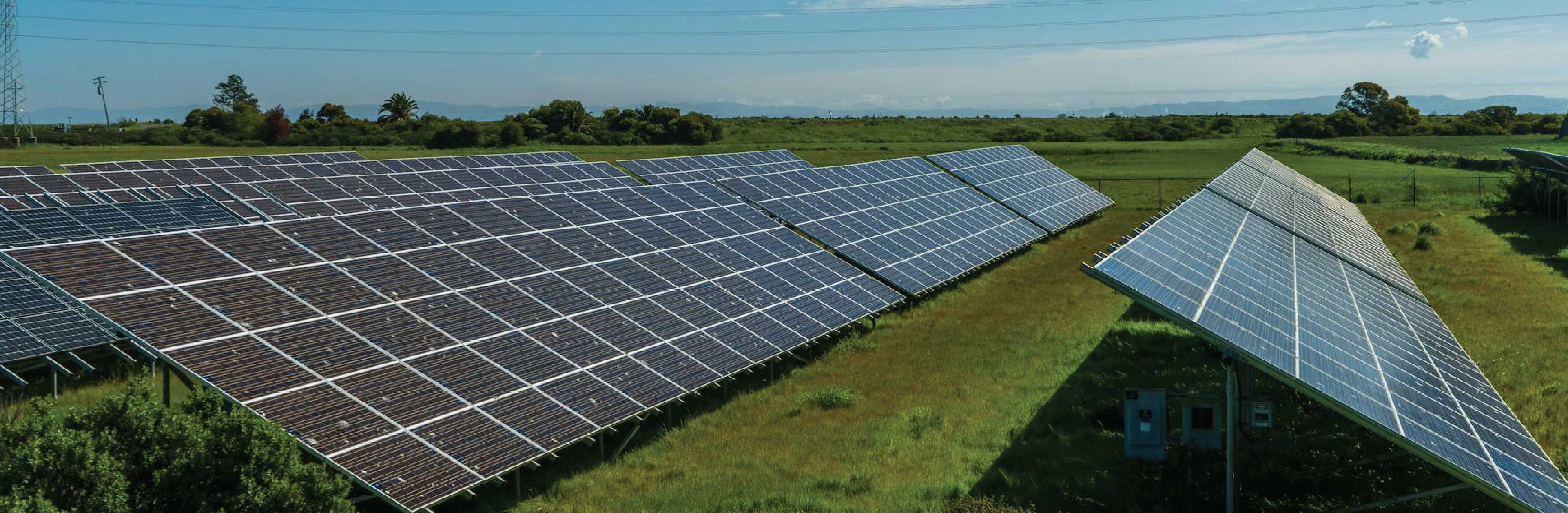 Renewable Energy
